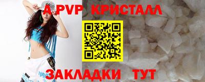 мдпв Ачхой-Мартан