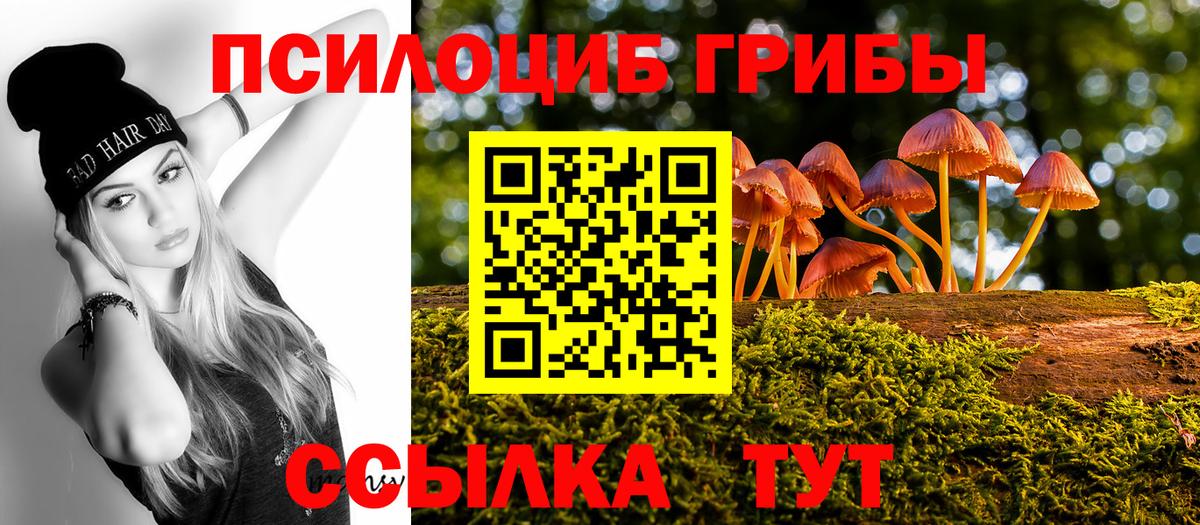 Псилоцибиновые грибы мицелий Богородицк