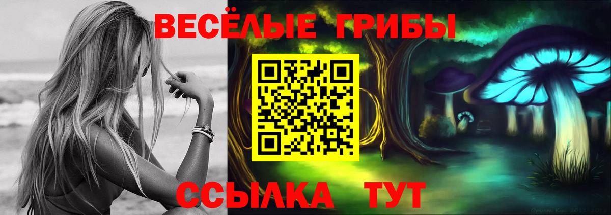 Галлюциногенные грибы Psilocybe  Вход с VPN  Богородицк 